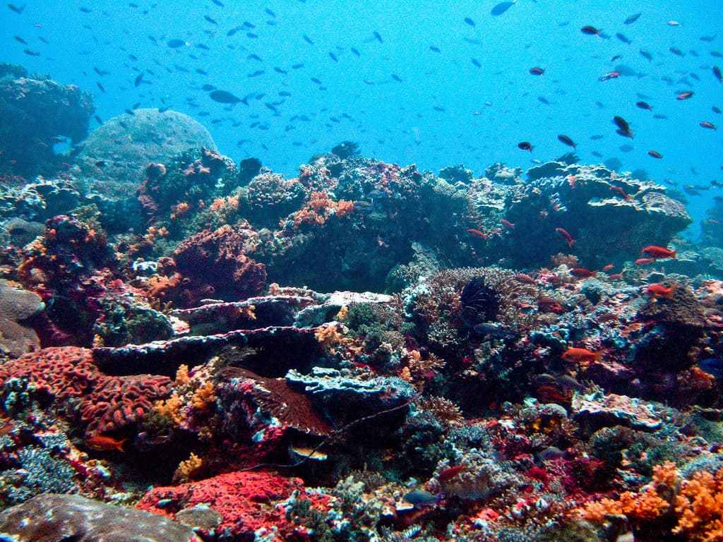 Nusa Lembongan, Indonesia