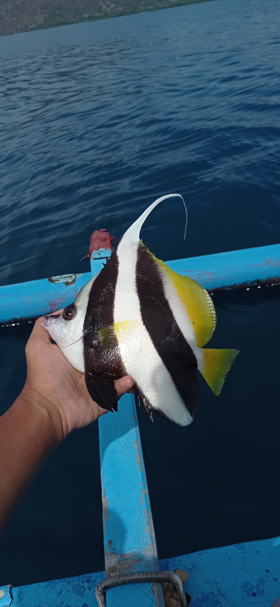 Super Suck, Indonesia